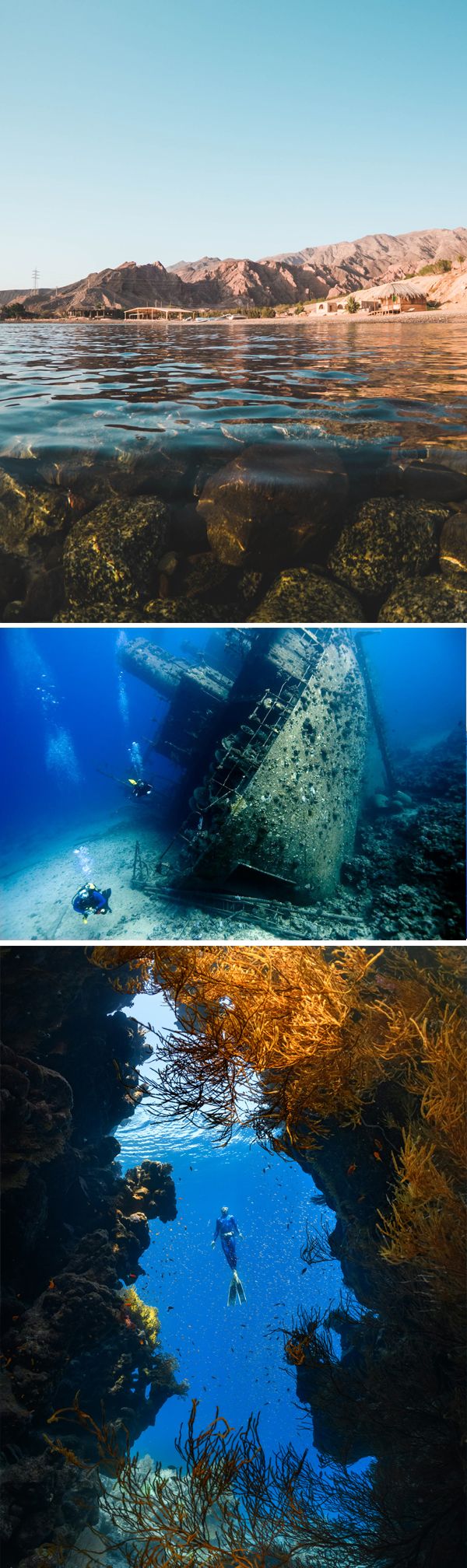 <p>Red Sea</p>
